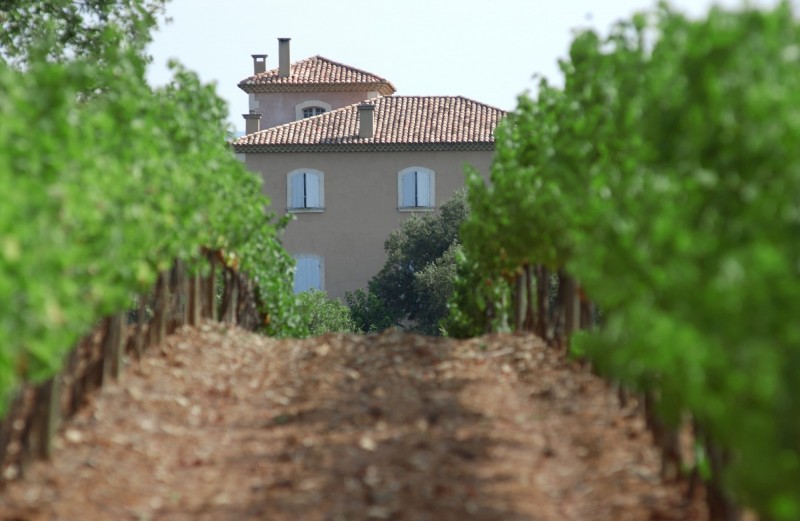 Propriété viticole au cœur de la Provence