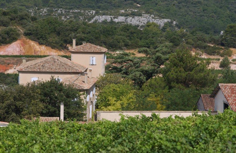 Propriété viticole en Luberon