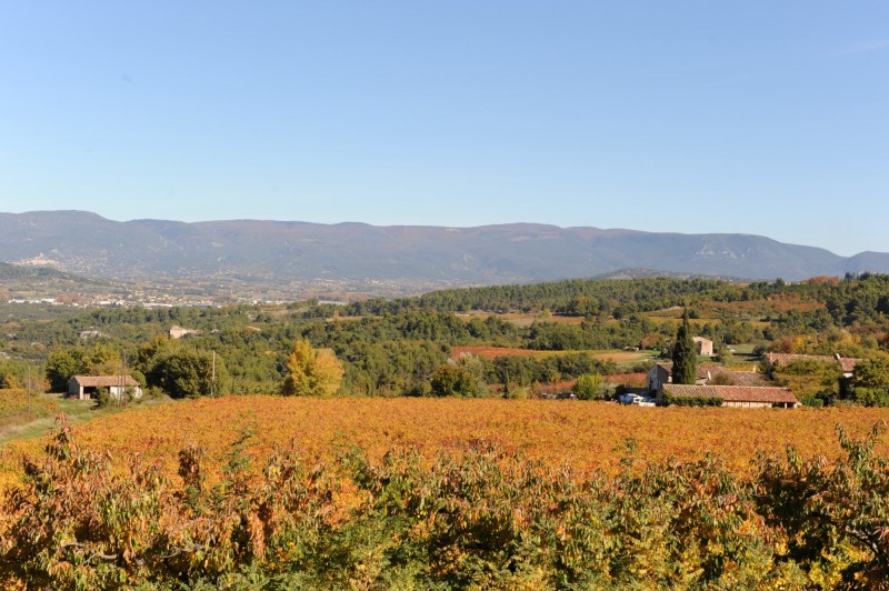 Propriété viticole avec vue superbe en Provence