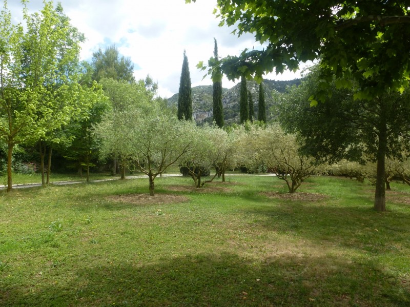 Maison de hameau avec jardin en Provence