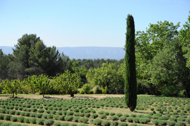 Superb property on 9.5 hectares, with views, for sale in the Luberon
