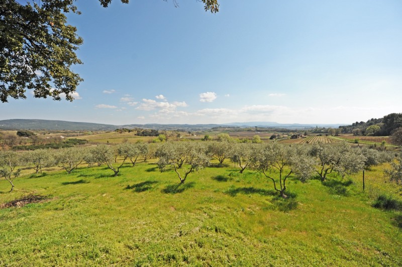 South Luberon, for sale, organic olive farm with guest house, pool and views 