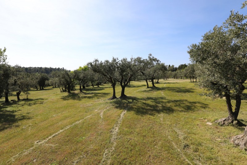 Exceptional location for sale in Gordes with views of the Luberon  