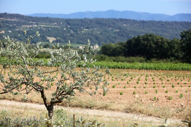 Propriété en Provence avec vue