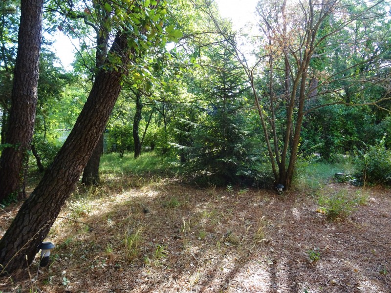 BEDOIN, wooded building plot of land in a residential district