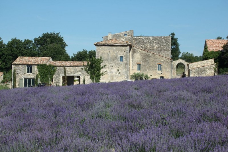 For sale in Provence, in luberon, estate of XVIIth century entirely renovated, composed of several buildings for a total surface of 1100 sqm on a 10 hectares land
