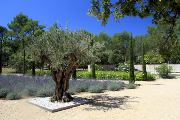 To rent for a summer in Luberon, spendid stone farmhouse in a park of 1 hectare with swimming pool