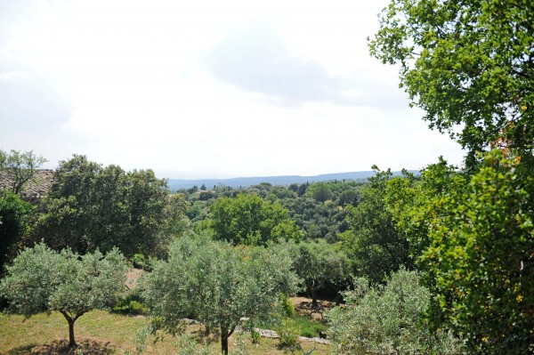 Seasonnal rental in Gordes, charming village house, very confortable, with swimming pool