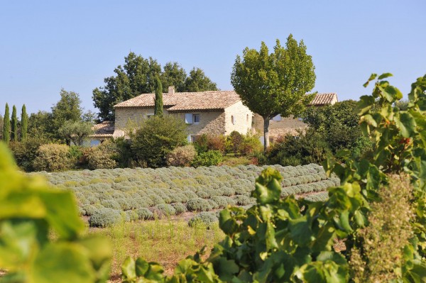 Location Luberon,  à proximité d'Oppède,  authentique mas provençal du XVIIIème rénové avec soin, pour des vacances réussies au soleil de la Provence